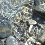 DSCF8074
