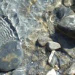 DSCF8077