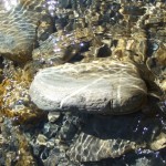 DSCF8081