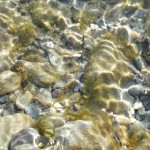 DSCF8085