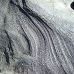 DSCF8089
