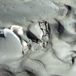 DSCF8090