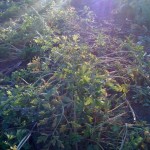 IMG_0304 IMG_0304